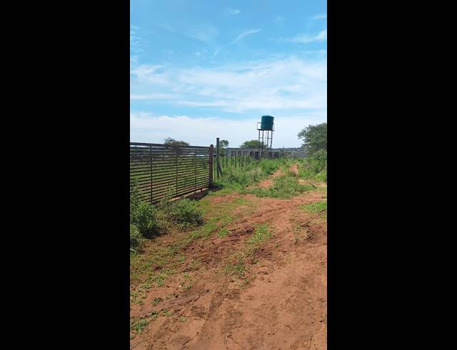 5HA FARM FOR SALE IN ELIM